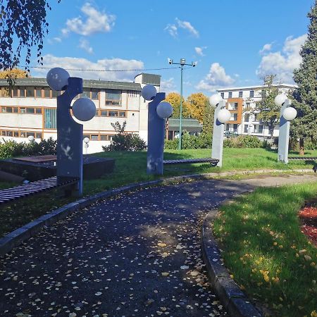 Apartment Ornament Lux Vrnjačka Banja 外观 照片